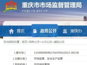 重庆：两项电梯相关地方标准发布，涉及电梯物联网和安全管理与作业人员电子证书……
