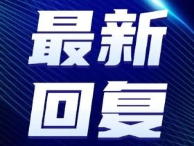 总局答复：关于电梯监督检验的有载试验检验方式