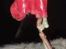 刚接手的电梯，一定要仔细检查，不然害人害己！