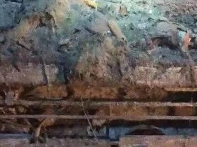 年度最脏电梯门头！这就是2000块钱/年的电梯保养？