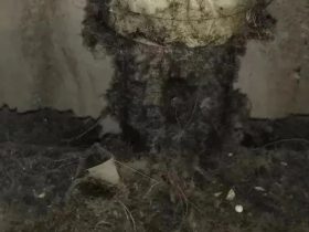 看这导靴这么“干净”是有多长时间没维保了？