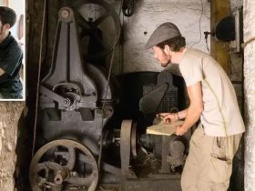 翻修古董电梯 维也纳电工打造“电梯咖啡馆”