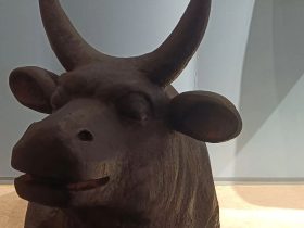 变天了，上海三菱电梯在武汉地铁12家投标企业中价格最低！