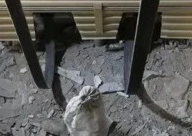 电梯维修代为值班，你到不了我替你，证件齐全！（包括底坑垃圾清理）