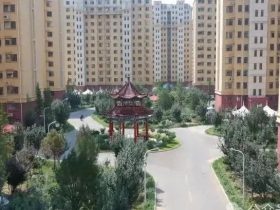 83台电梯维保价格：7万元/年