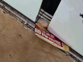 业主们看看！电梯怎么又坏了！？