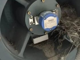 这电梯多少天没有维保了？