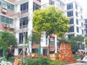 郑州老旧小区加装电梯不用审批 居民协商一致即可建设