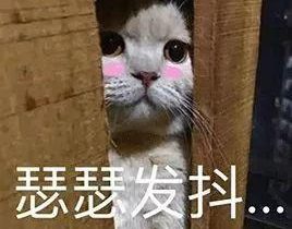 湖南一小区交房1年半，8台电梯坏了近400次！无敌心塞！