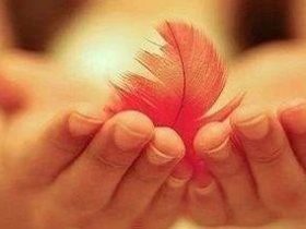 电梯这个行业真的病了……