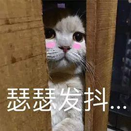 湖南一小区交房1年半，8台电梯坏了近400次！无敌心塞！