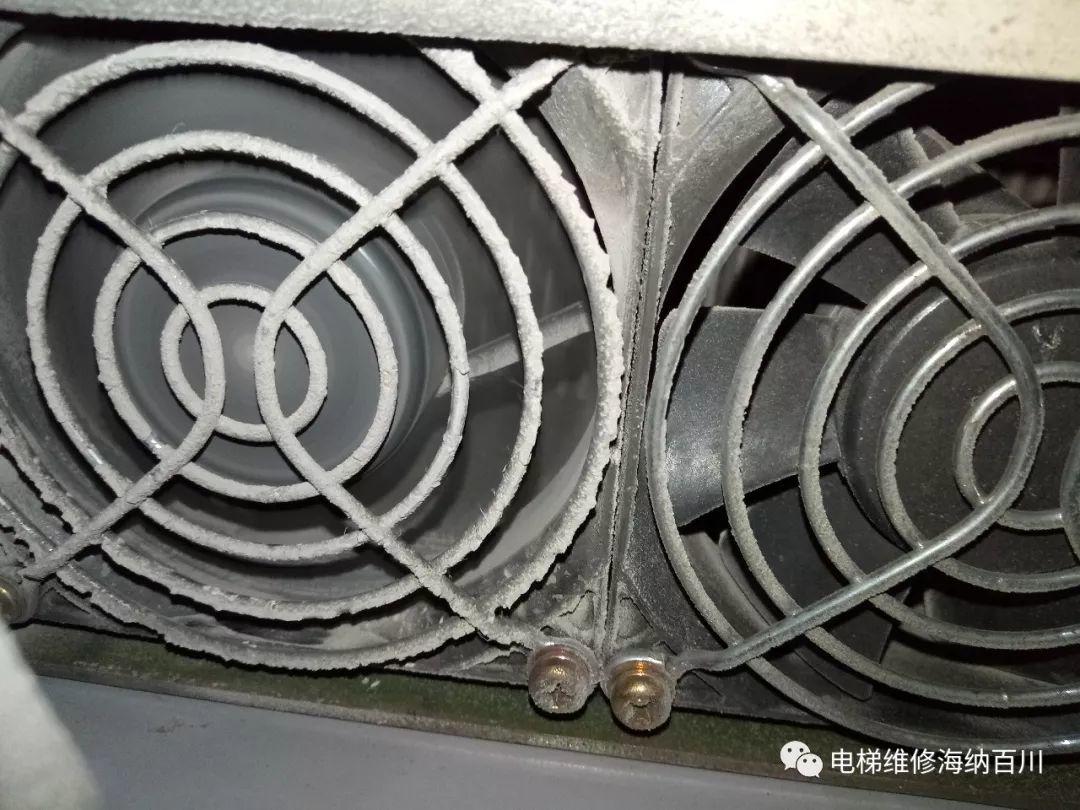 不检查不知道！一检查不只是吓一跳-图片19