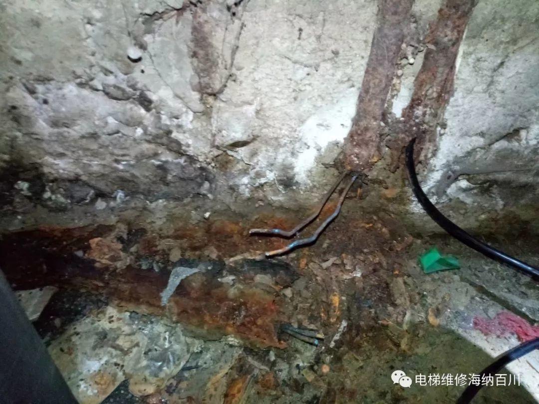不检查不知道！一检查不只是吓一跳-图片12