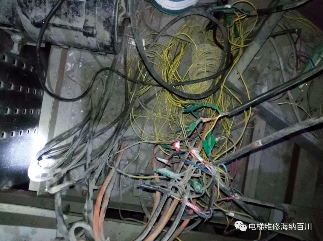 不检查不知道！一检查不只是吓一跳-图片23