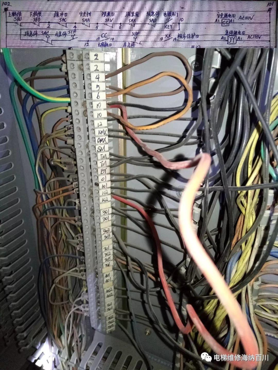 不检查不知道！一检查不只是吓一跳-图片13