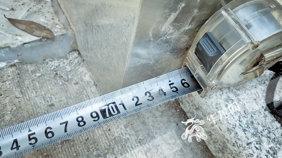 电梯门缩水近20厘米轮椅难入,无障碍电梯变“有障碍”? 电梯门缩水近20厘米轮椅难入,无障碍电梯变“有障碍”?