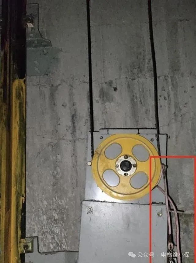 钢丝绳齿轮被牵狗绳缠住造成电梯急停！七八人被困电梯-图片2