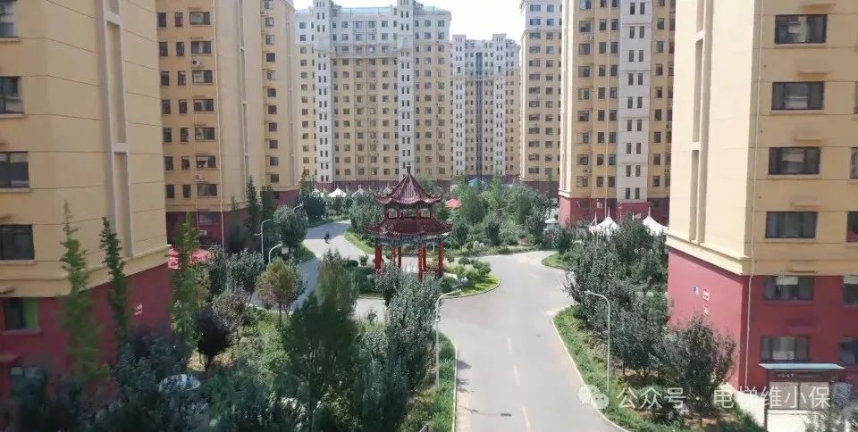 83台电梯维保价格：7万元/年