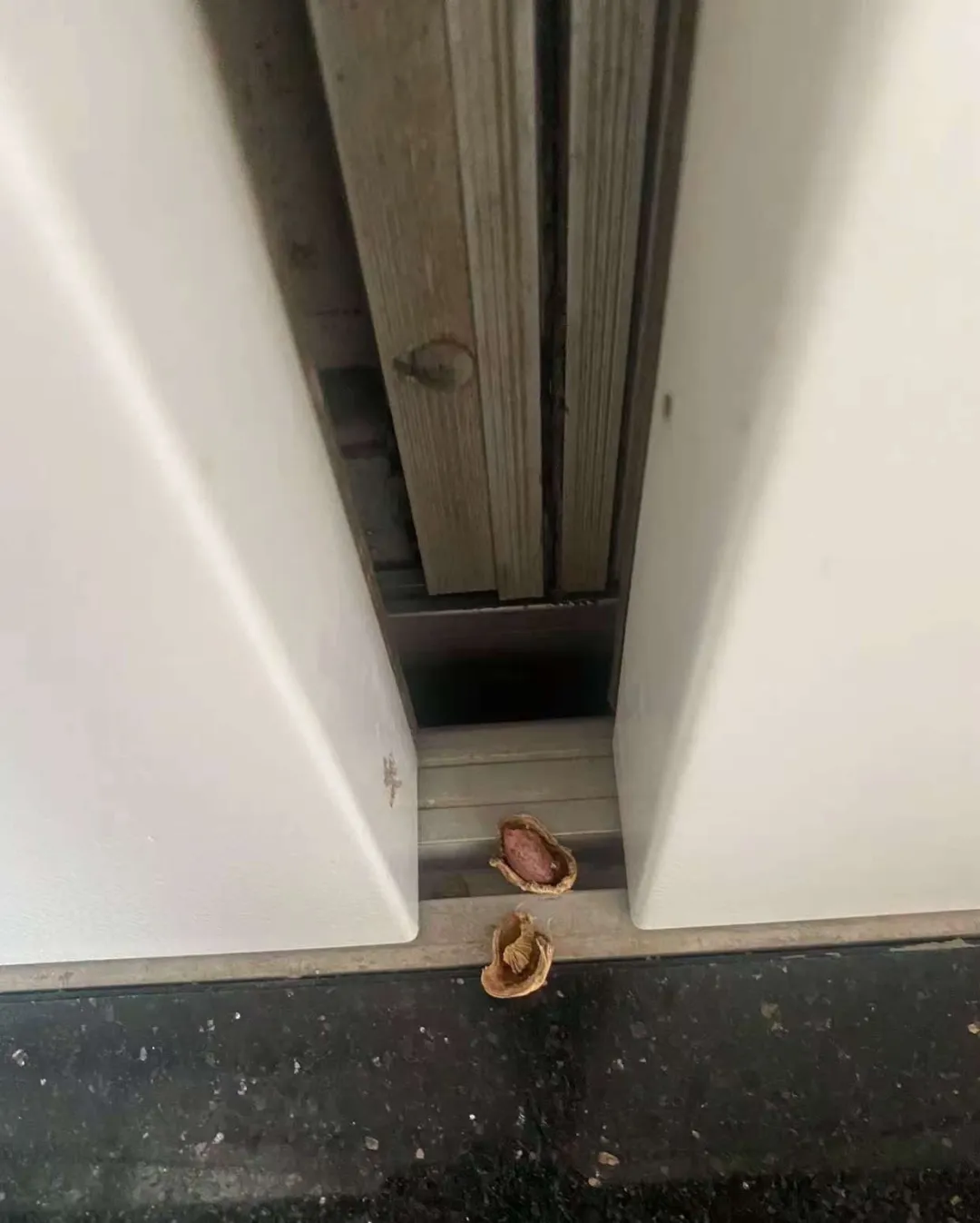 业主们看看！电梯怎么又坏了！？